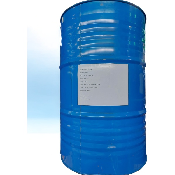 Polyamide Resin 300H